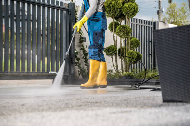 Animal Enclosure Cleaning in Haworth, NJ